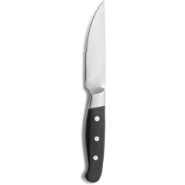 Μαχαίρι Κρέατος Acongagua CO07445000 25,8cm Silver-Black Comas Μέταλλο