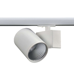 Σποτ Ράγας 2 Καλωδίων LISOR4030W2 10x12,5cm Led 4000lm 40W 3000K White Aca