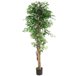 Τεχνητό Δέντρο Φίκος NP0081_210 Ύψος 210cm Green New Plan Πλαστικό, Ύφασμα
