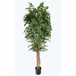 Τεχνητό Δέντρο Φίκος NP230_210_Uv Ύψος 210cm Green New Plan Πλαστικό, Ύφασμα