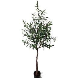 Τεχνητό Δέντρο Ελιά NP4817_160_22 Ύψος 160cm Green New Plan Πλαστικό, Ύφασμα