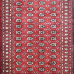 Χειροποίητο Χαλί Buhara Pakistan 213561 248X172 248X172cm