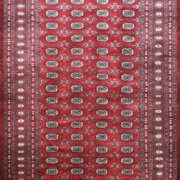 Χειροποίητο Χαλί Buhara Pakistan 213646 298X186 298X186cm