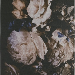 Χαλί Sicily Eldora Black-Beige Carpet Couture 155X230cm