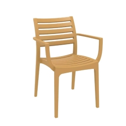 Πολυθρόνα Artemis Teak 20-0331 Siesta