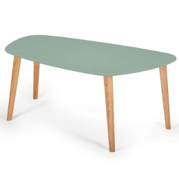 Τραπέζι Σαλονιού Endocarp ENDOCARPCT17 110x66x45cm Sage Green