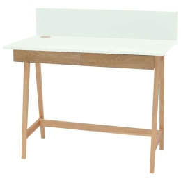 Γραφείο Luka LUKA2DOFASH11 110x50x75cm Natural-Mint
