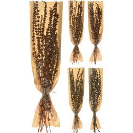 ΦΥΛΛΑ ΑΠΟΞΗΡΑΜΕΝΑ ARTELIBRE PALANG GRASS ΔΕΜΕΝΑ ΣΕ ΧΑΡΤΙΝΗ ΘΗΚΗ ΣΕ 4 ΠΟΙΚΙΛΙΕΣ
