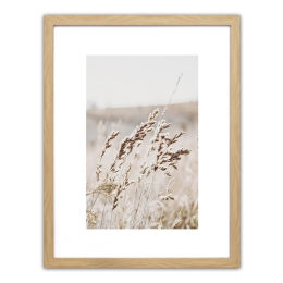 ΠΙΝΑΚΑΣ ΣΕ ΚΟΡΝΙΖΑ ARTELIBRE ΠΛΑΣΤΙΚΟ 'ΣΤΑΧΥΑ' 35X45X1.8CM