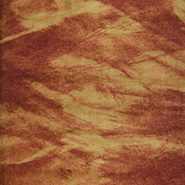 Χαλί Elegance 67012/810 Rust 200X290cm
