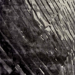 Χαλί Mistic Grey Carpet Couture 170X240cm