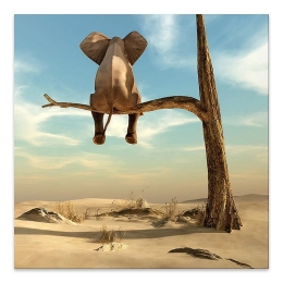 ΠΙΝΑΚΑΣ ΣΕ ΚΑΜΒΑ "ELEPHANT ON BRANCH" MEGAPAP ΨΗΦΙΑΚΗΣ ΕΚΤΥΠΩΣΗΣ 50X50X3ΕΚ.