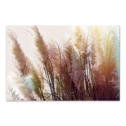 ΠΙΝΑΚΑΣ ΣΕ ΚΑΜΒΑ "SOFT PAMPAS" MEGAPAP ΨΗΦΙΑΚΗΣ ΕΚΤΥΠΩΣΗΣ 125X80X3ΕΚ.