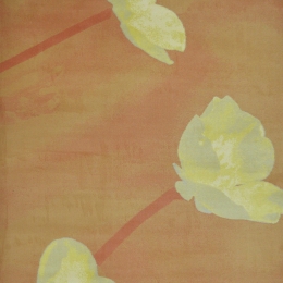 Χαλί Mistral 5450 Orange 160X230cm