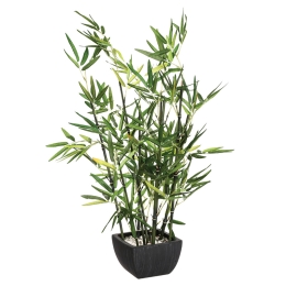 ΦΥΤΟ ΣΕ ΓΛΑΣΤΡΑ GREEN PAKOWORLD 43X34X67ΕΚ