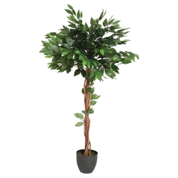 ΦΥΤΟ ΣΕ ΓΛΑΣΤΡΑ GREEN8 PAKOWORLD 45X45X120ΕΚ
