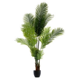 ΦΥΤΟ ΣΕ ΓΛΑΣΤΡΑ GREEN9 PAKOWORLD 114X105X180ΕΚ
